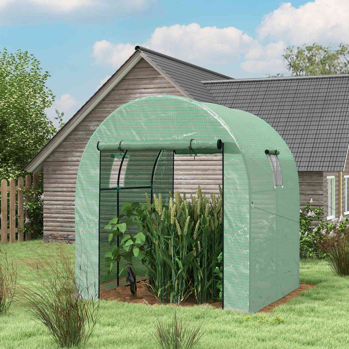 Serre verte avec cultures près d’une maison