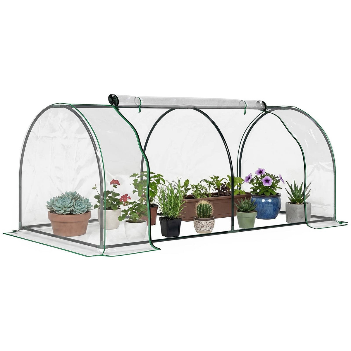 Mini serre tunnel transparente abritant des plantes en pots