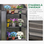 Trois niveaux de plantes dans l’armoire serre grise