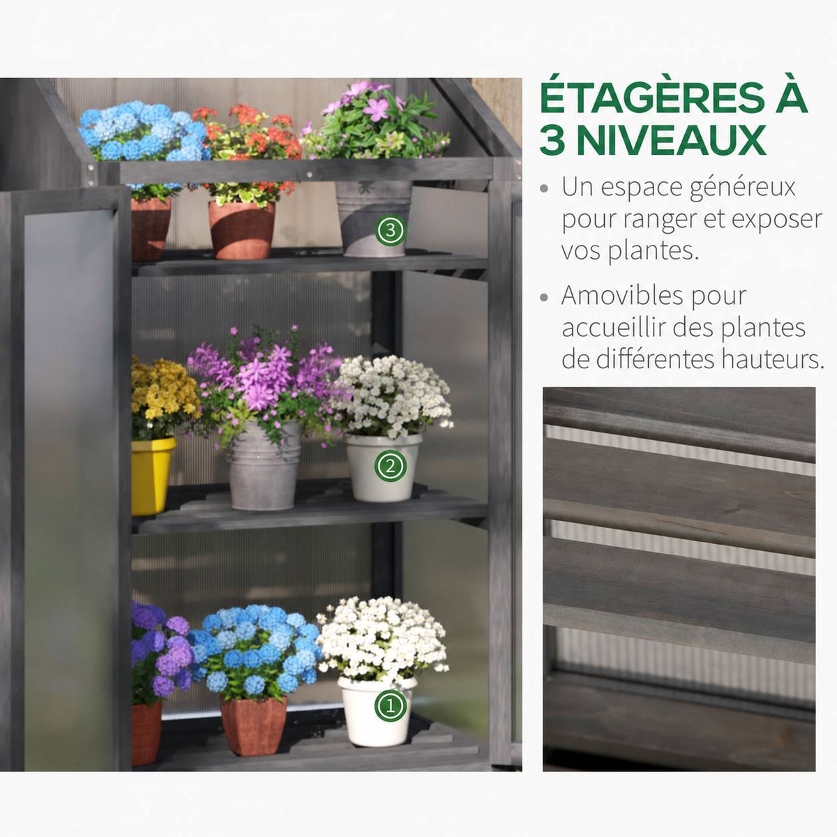 Trois niveaux de plantes dans l’armoire serre grise