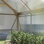 Détail intérieur d’un angle supérieur de la serre argentée avec plantes