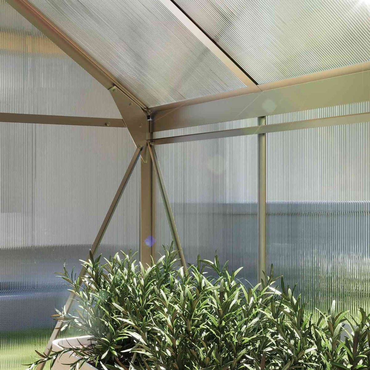 Détail intérieur d’un angle supérieur de la serre argentée avec plantes
