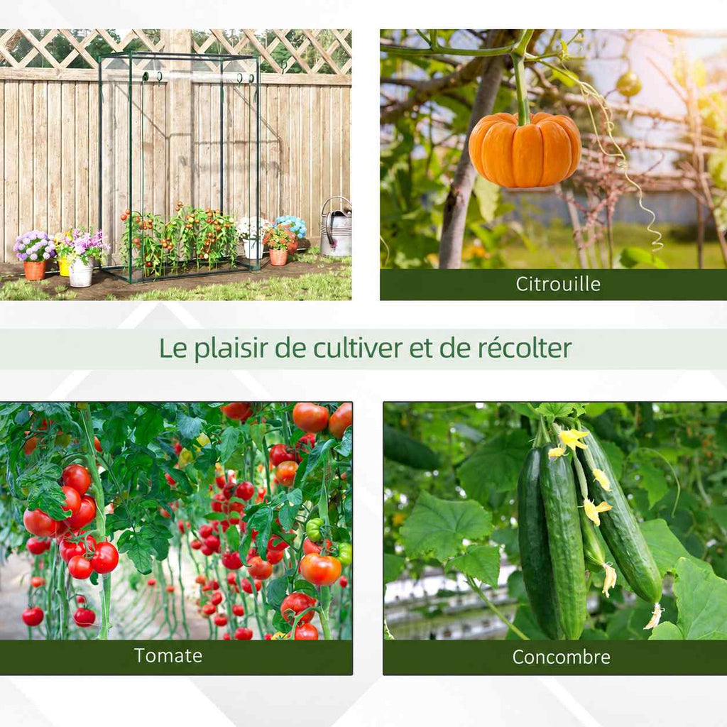 Serre et exemples de cultures de tomates, courges et concombres